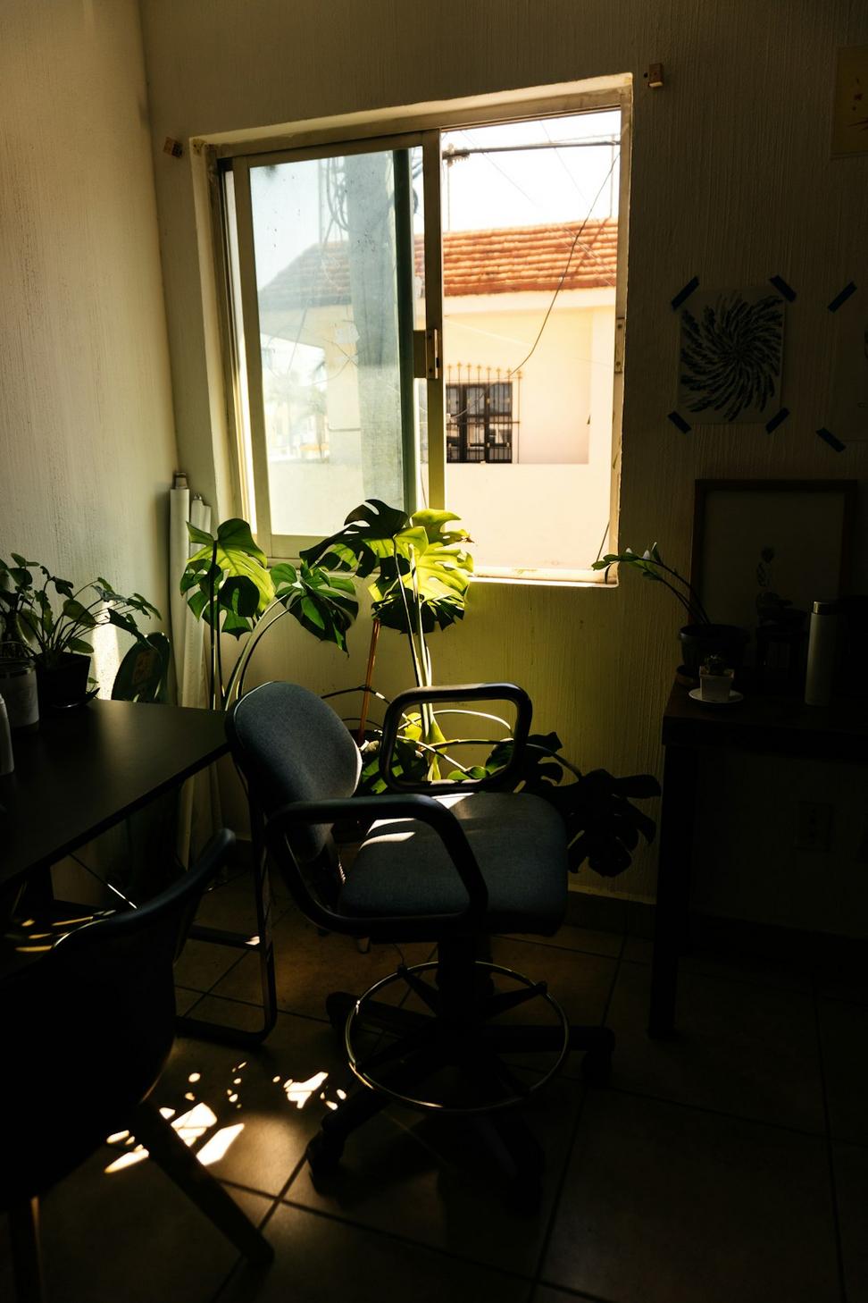 Wellness Co-Working Space