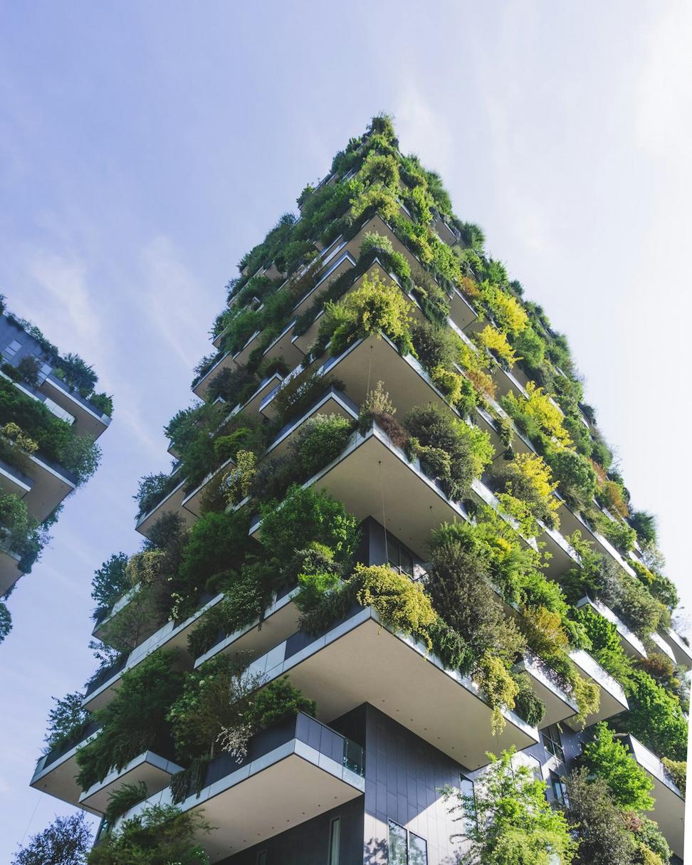 Sustainable Building Consulting